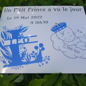 Tableau de naissance