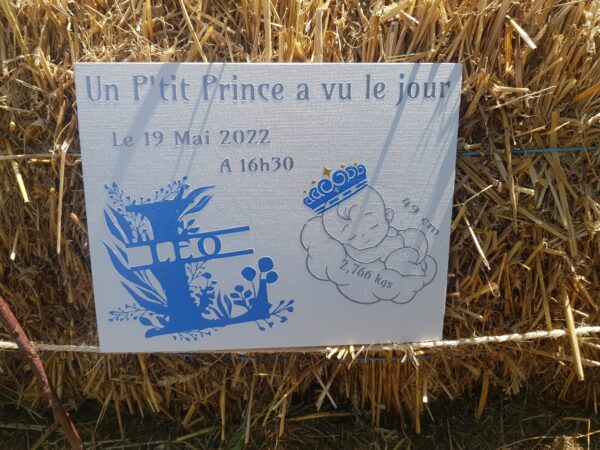 Tableau de naissance – Image 6