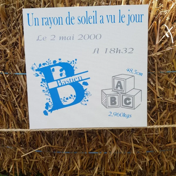 Tableau de naissance – Image 4