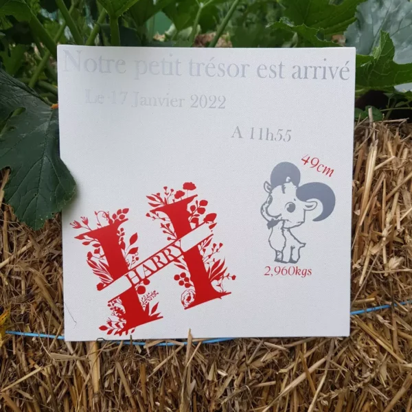 Tableau de naissance – Image 3